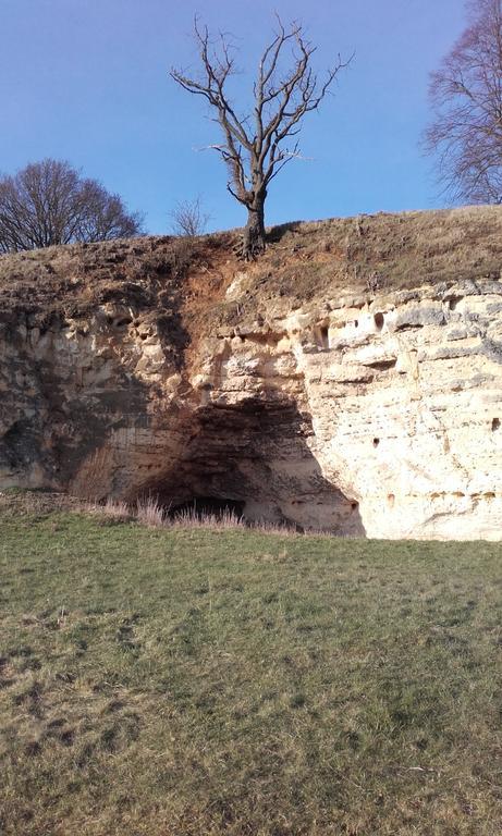 Het Vakwerkhuis Valkenburg aan de Geul Exterior foto